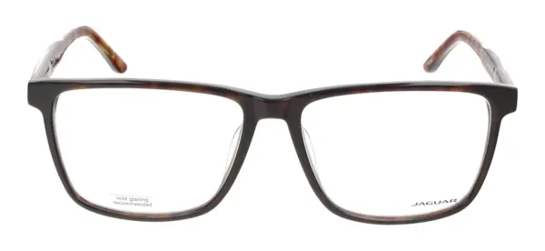 Jaguar 31033 – Ruda