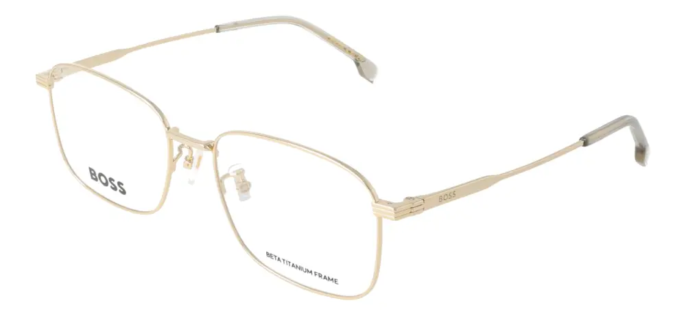 Hugo Boss BOSS1798
