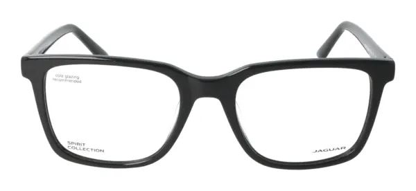 Jaguar 31529 – Juoda