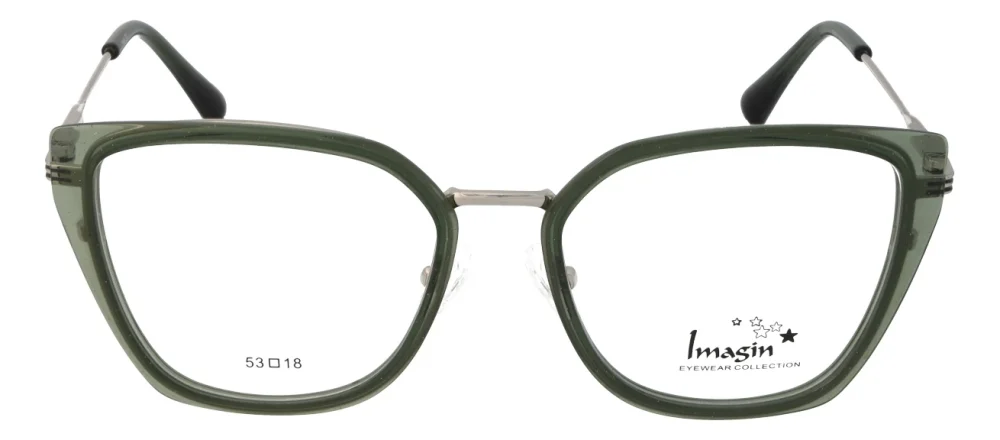 Imagin I9101