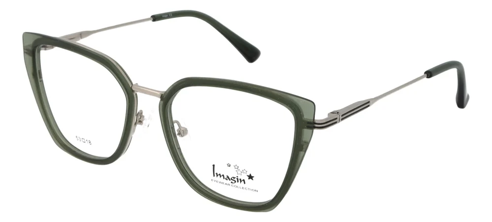 Imagin I9101