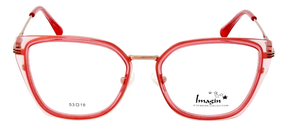 Imagin I9101