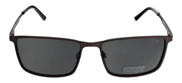 Jaguar 37509 – Pilka