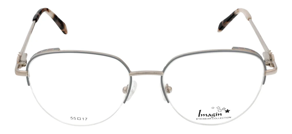 Imagin I1017