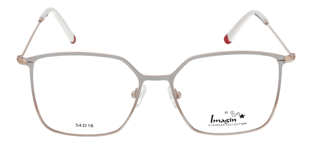 Imagin I1006