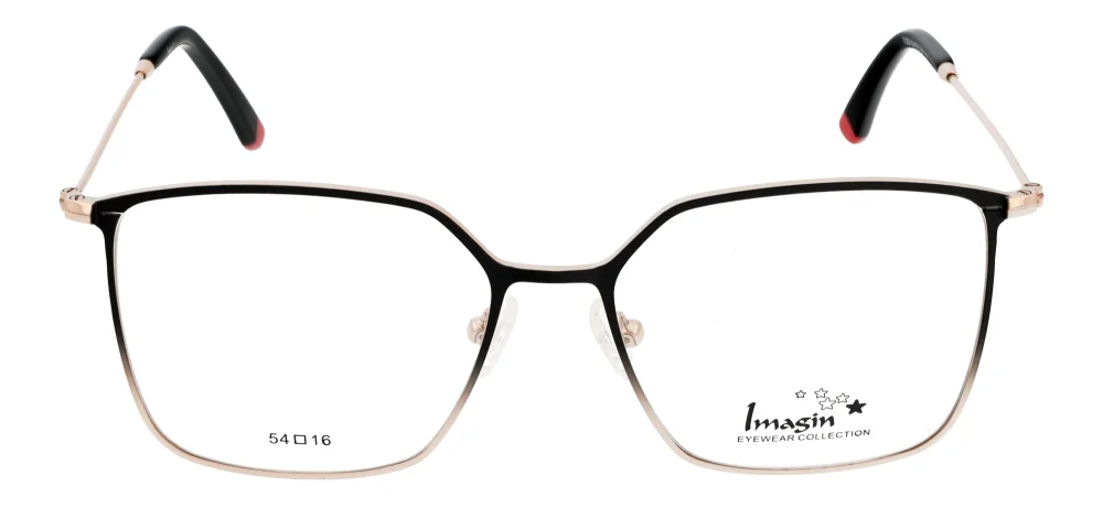 Imagin I1006