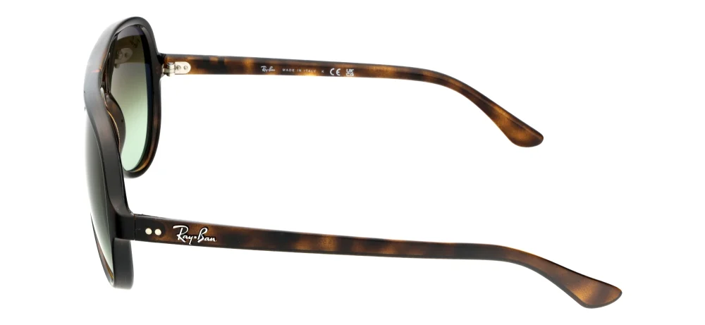 Ray-Ban RB4125