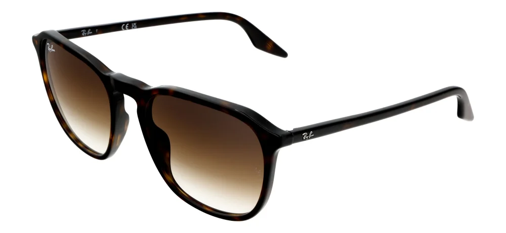 Ray-Ban RB2203