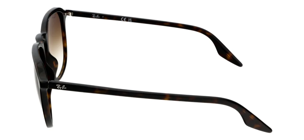 Ray-Ban RB2203