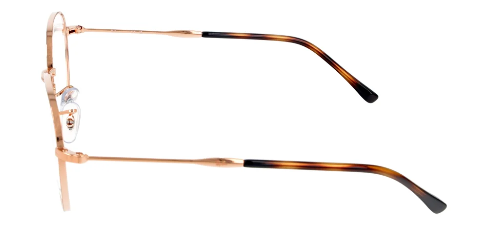 Ray-Ban RX6509