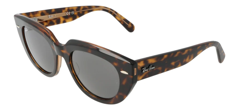 Ray-Ban RB2286