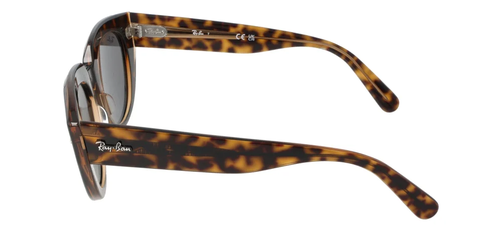 Ray-Ban RB2286