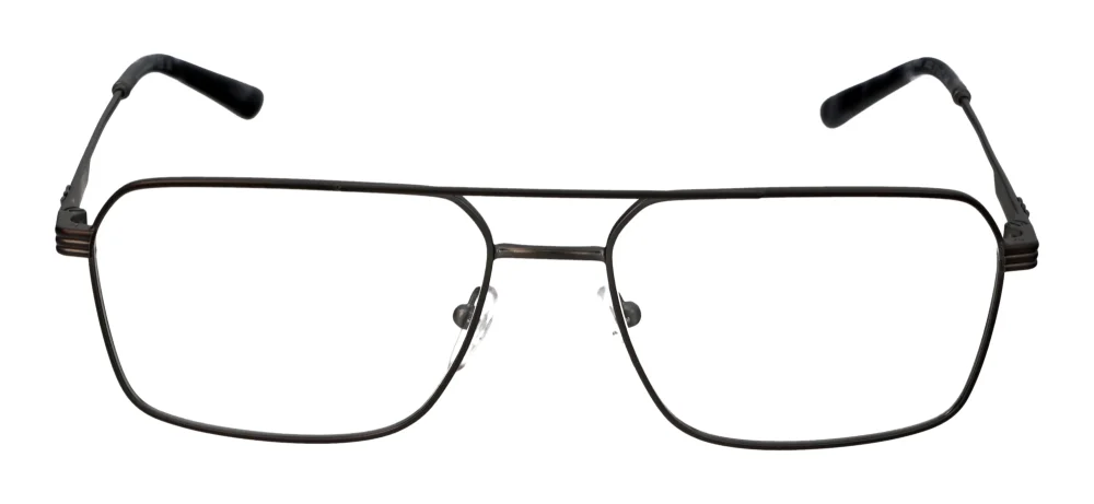 Emporio Armani EA1166