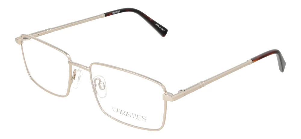 Christie's CS5593