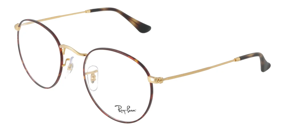 Ray-Ban RX3447V