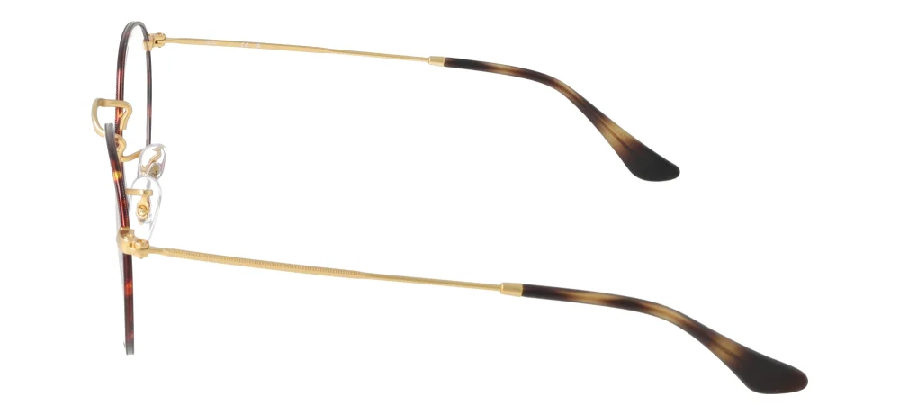 Ray-Ban RX3447V