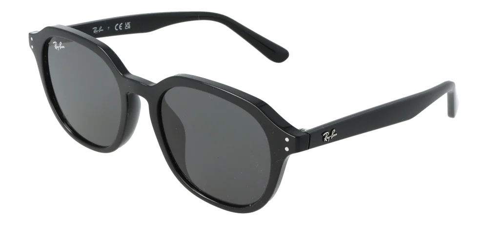 Ray-Ban RB4459D