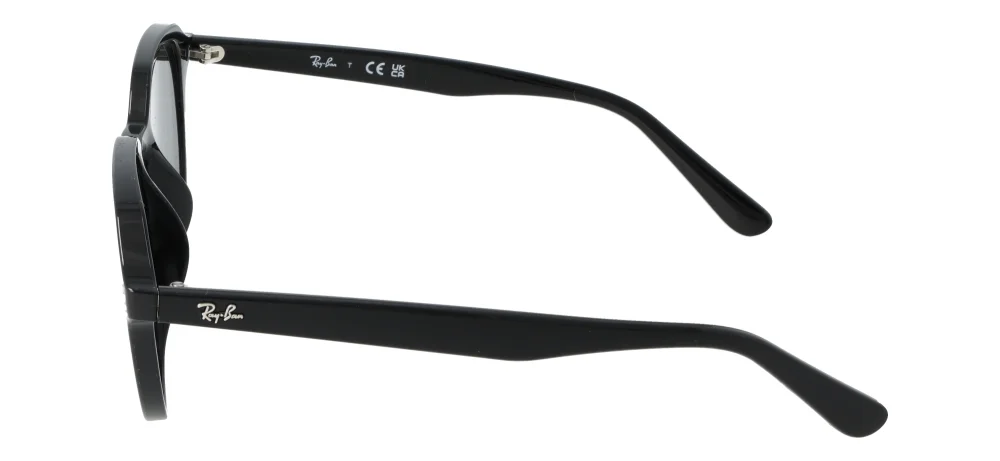 Ray-Ban RB4459D