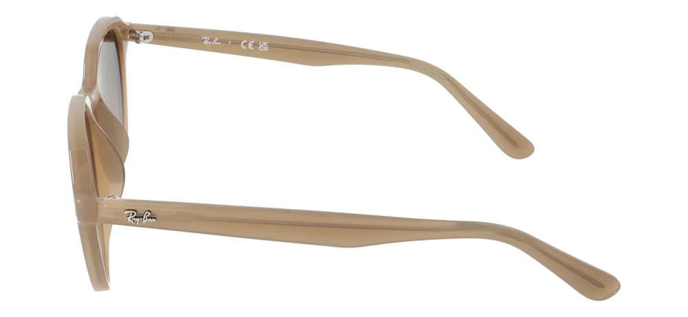Ray-Ban RB4459D