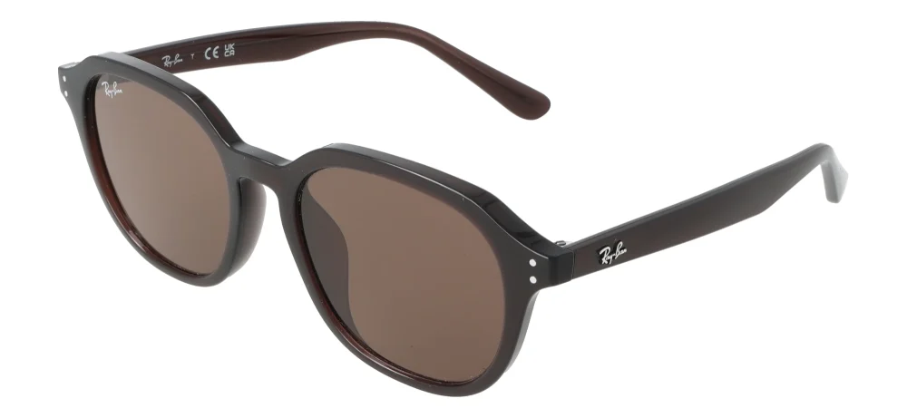 Ray-Ban RB4459D