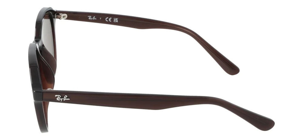 Ray-Ban RB4459D