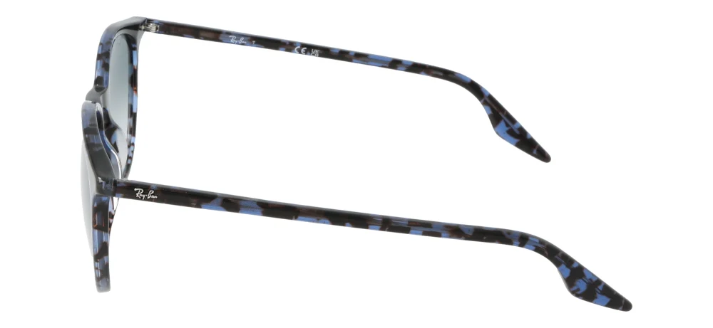Dolce&Gabbana RB2204