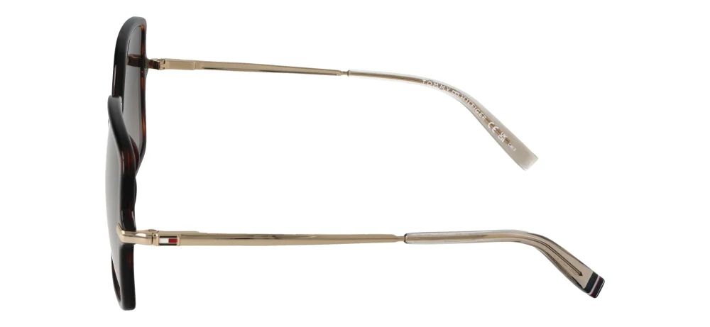 Tommy Hilfiger TH2220