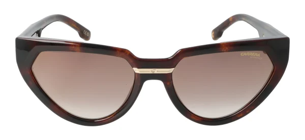 Carrera VICTORYC20 – Ruda