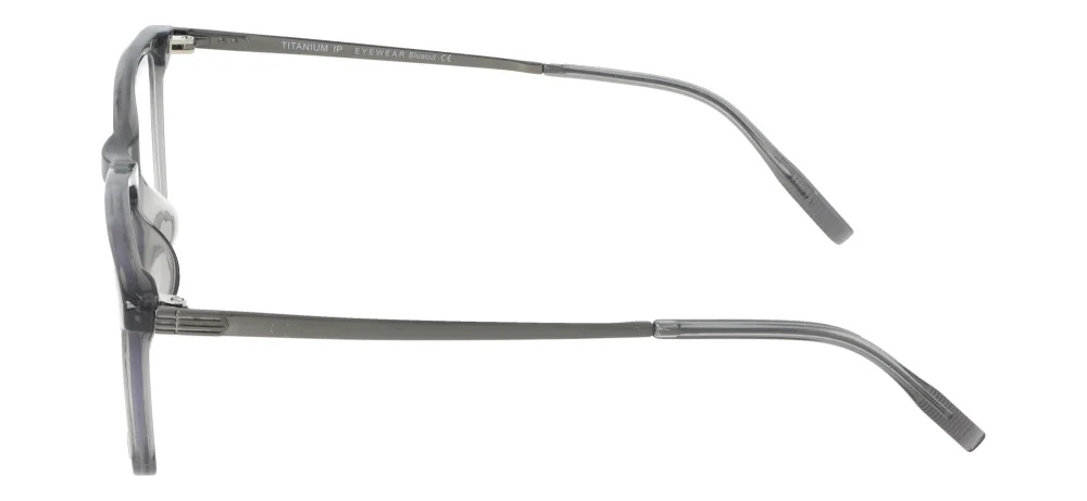 Eyewear Blueb E9215