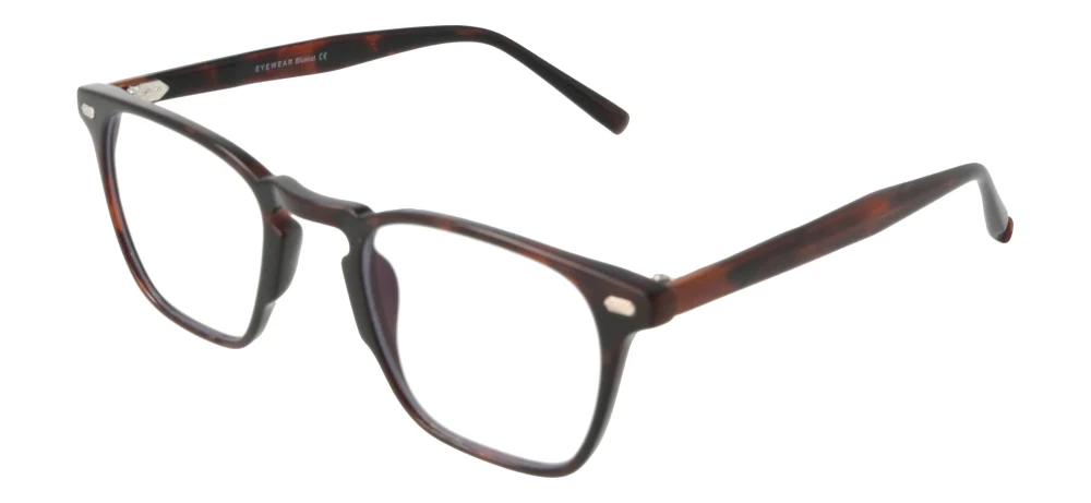 Eyewear Blueb E9210