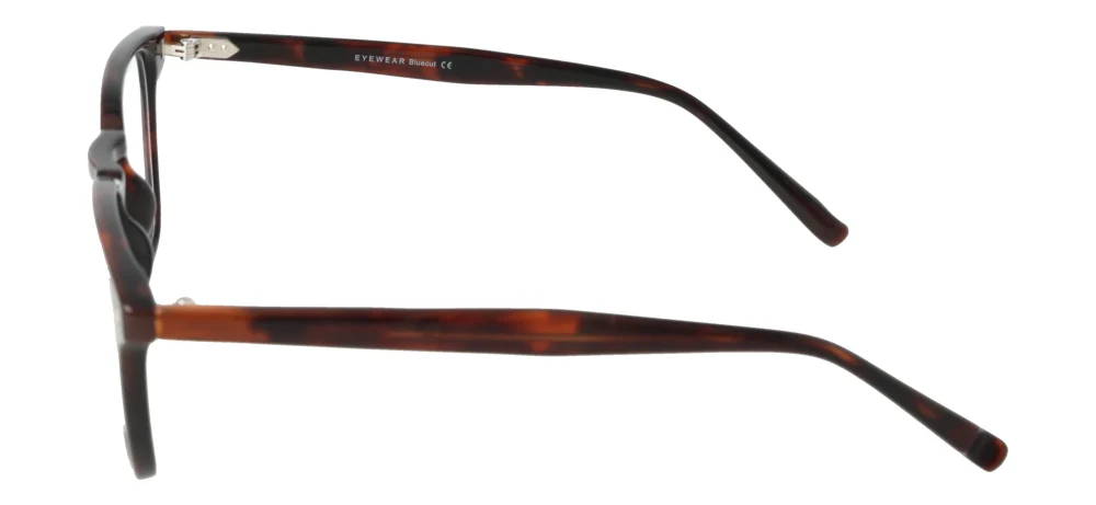 Eyewear Blueb E9210