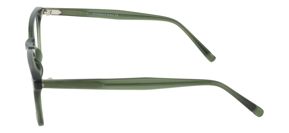 Eyewear Blueb E9210