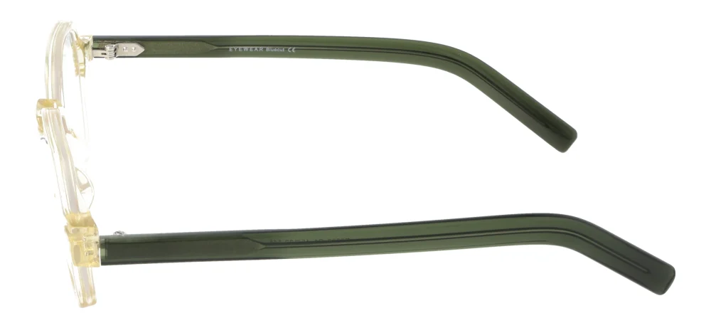 Eyewear Blueb E9209