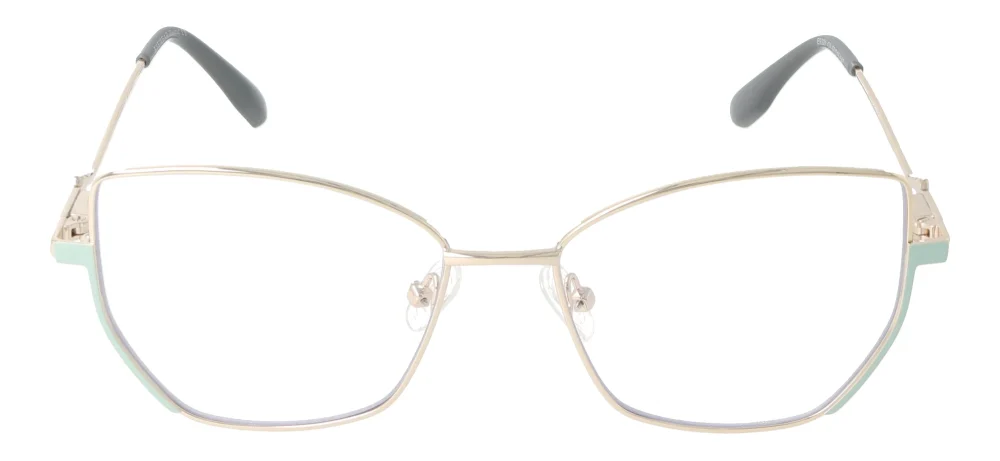 Eyewear E9221