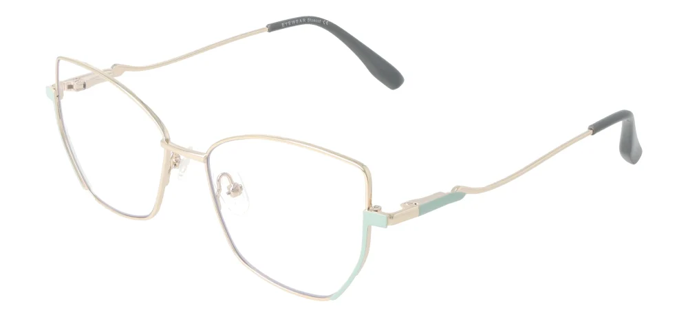 Eyewear E9221