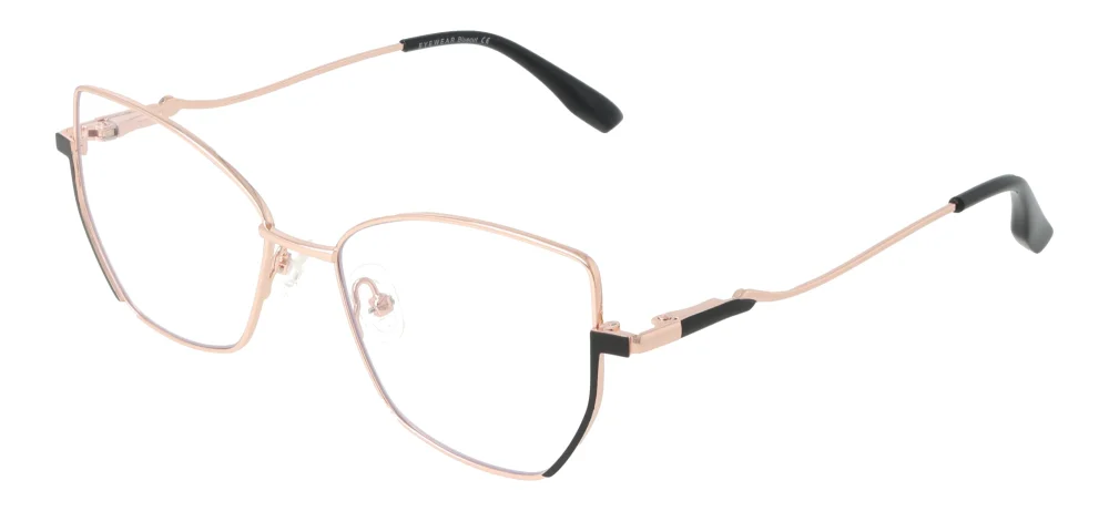 Eyewear E9221