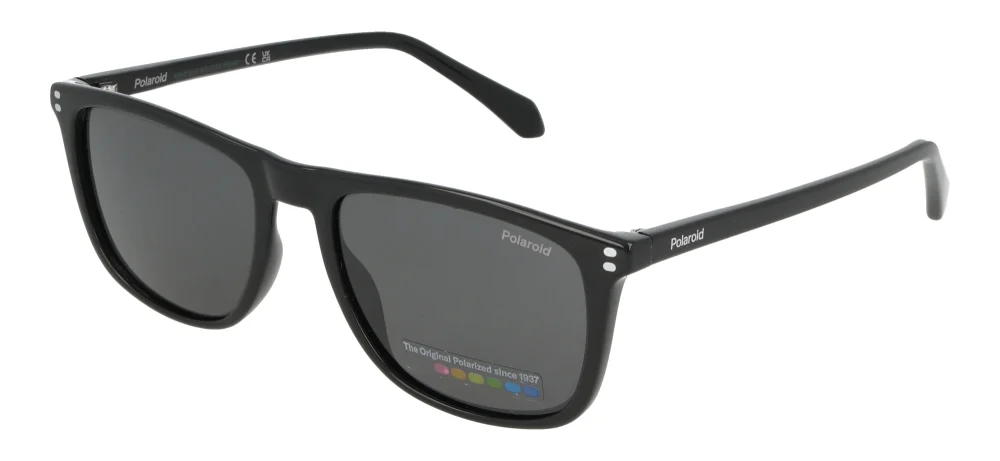 Polaroid PLD4202