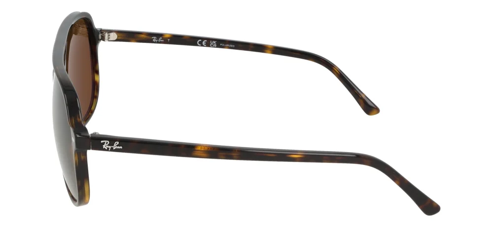 Ray-Ban RB2198