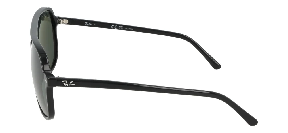 Ray-Ban RB2198