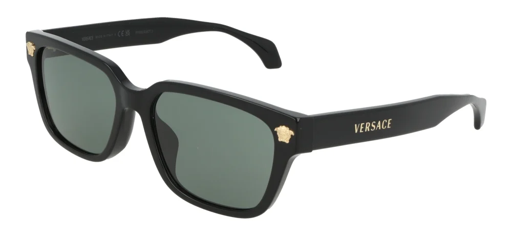 Versace VE4513D