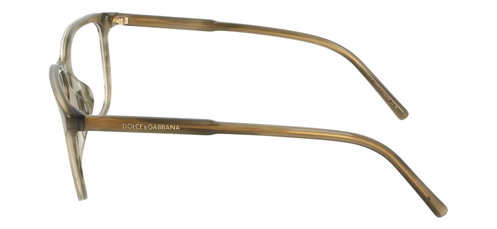 Dolce&Gabbana DG3445