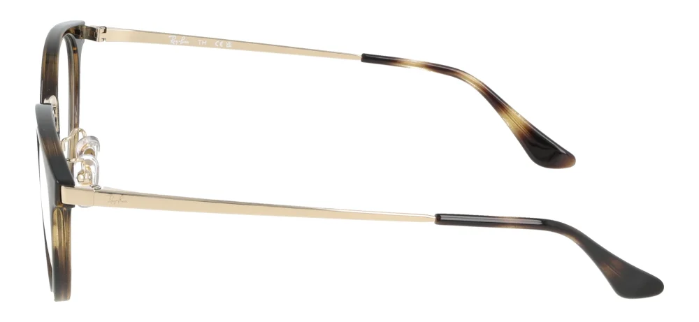 Ray-Ban RX7266D