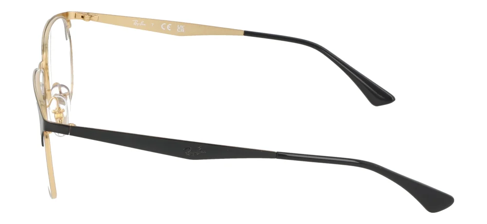 Ray-Ban RX6421