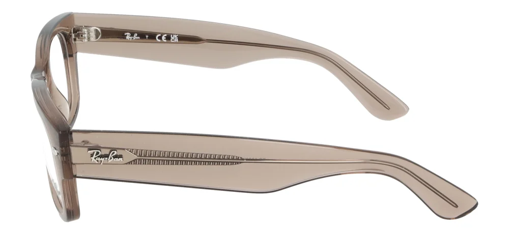 Ray-Ban RX0832V