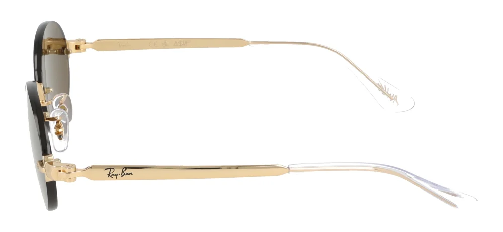 Ray-Ban RB3929