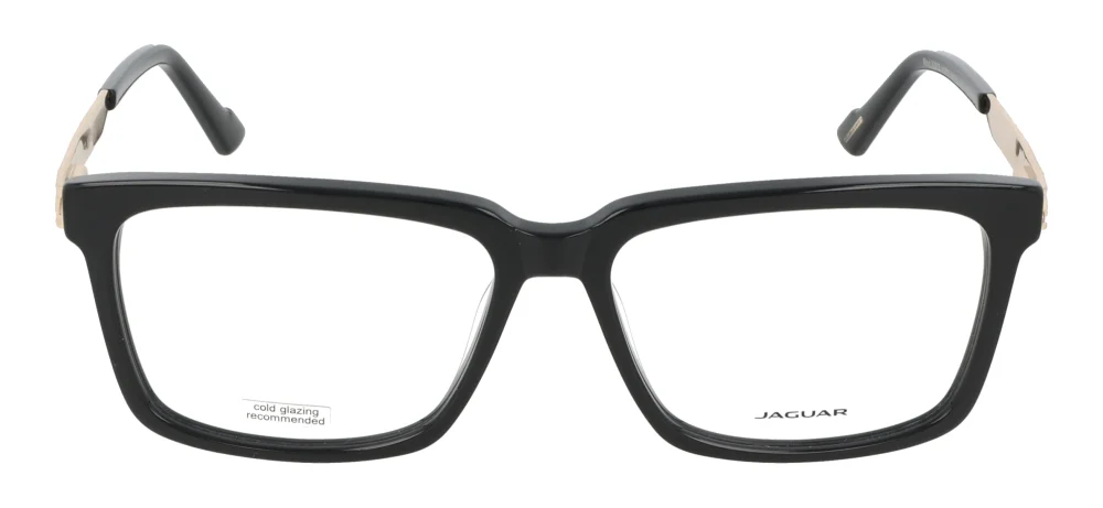 Jaguar 32012