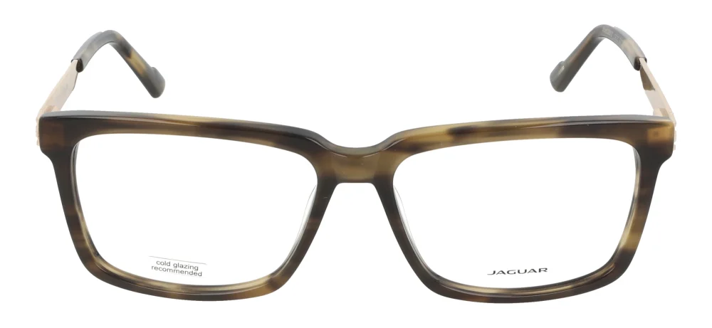 Jaguar 32012