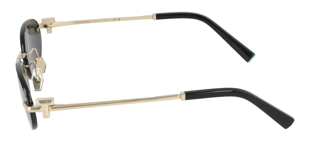 Tiffany & Co. TF3119D
