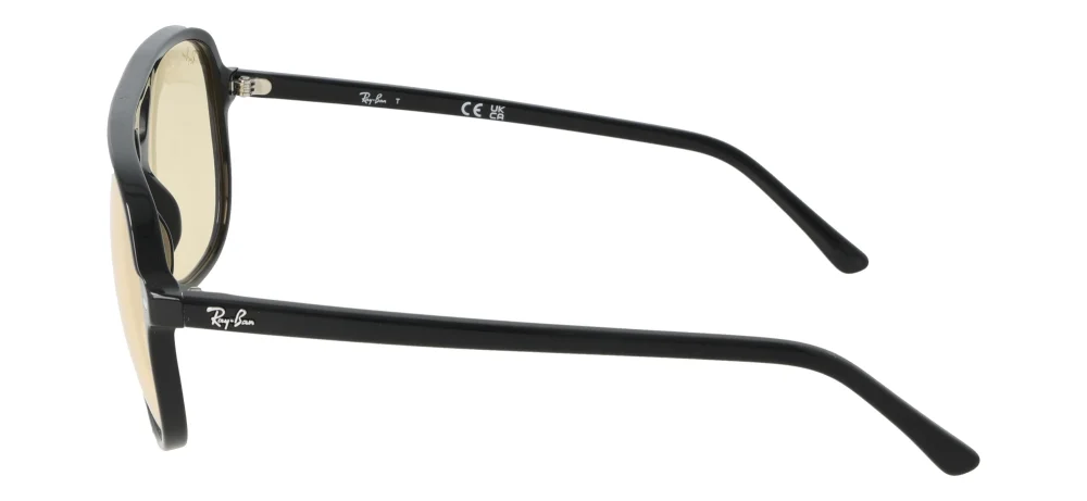 Ray-Ban RB2198