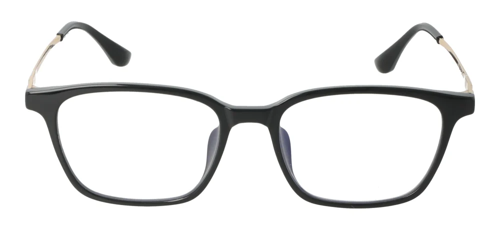 Eyewear E9231